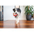 Фото #2 товара Игрушка для собак Red Dingo 10 cm Обезьяна