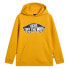 Фото #1 товара VANS Style 76 hoodie