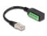 Фото #1 товара Delock 66052 - RJ-45 - Terminal - Black - Green - China - Male - Female