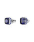 ფოტო #11 პროდუქტის Rhodium Plated Square Cut Color Birthstone Stud Earrings