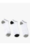 3'lü Patik Çorap Seti Çok Renkli Şerit Detaylı