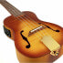 Ortega Rusl-HSB Concert Ukulele