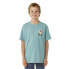 Фото #1 товара RIP CURL Surf Revivial Peaking short sleeve T-shirt