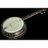 Фото #9 товара Gold Tone IT-250-F Irish Tenor Banjo w/C