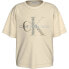 Фото #2 товара CALVIN KLEIN JEANS Glitter Monogram Boxy short sleeve T-shirt