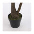 Фото #10 товара Декоративное растение Mica Decorations Yucca (120 x 60 cm)