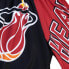 Фото #3 товара MITCHELL & NESS NBA BIG FACE FASHION SHORTS 5.0 MIAMI HEAT