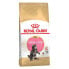 ფოტო #2 პროდუქტის ROYAL CANIN Maine Coon Poultry Kitten 2kg Cat Food