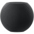 Фото #1 товара Портативная акустика Apple MY5G2Y/A Bluetooth-динамик серый