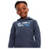 Фото #6 товара LEVI´S ® KIDS Batwing Fill hoodie