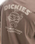 Dickies colstrip back print t-shirt in brown