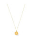 ფოტო #1 პროდუქტის Rue Sunburst Disc Necklace