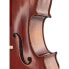 Фото #8 товара Gewa Allegro VC1 Cello Set 4/4 CB