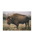 Фото #1 товара Картина холст масляная Trademark Global adam Mead Solitary Bison IV - 37" x 49"