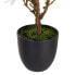 Фото #2 товара Декоративное растение полиэстер полиэтилен Железо 30 x 30 x 60 cm Magnolia