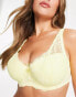 Фото #4 товара Pour Moi Fuller Bust Flora mini floral lace high apex padded bra in yellow