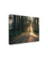 Фото #2 товара Adam Mead Pacific Northwest Oregon III Canvas Art - 37" x 49"