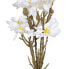 Фото #4 товара букет Белый Зеленый 37 x 20 x 41 cm Magnolia