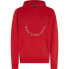 Фото #1 товара TOMMY HILFIGER Monotype Roundall hoodie