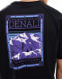 Фото #2 товара The North Face Denali stamp raglan t-shirt in black