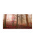 Фото #1 товара Leif Londal Forest Scene Red Canvas Art - 20" x 25"