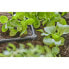 Фото #2 товара Насадка GARDENA Kreuzung in L 3/16 4,6 mm 10 Zimmerbox "Easy & Flexible" Verbindung - 13212-20