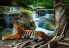 Vinyl Fototapete Tiger Wasserfall Wald
