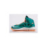 Nike Zoom Lebron X Dolphins Edition