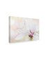 Фото #2 товара Jacky Parker 'Purity' Canvas Art - 32" x 22" x 2"