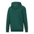 Puma World Cup Hoodie Fl Mens Green Casual Outerwear 67481304