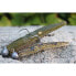 KORUM Snapper Floatex Squirmz Floating Soft Lure 75 mm