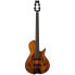 Фото #1 товара Maybach DaVinci Bass Antique Violin