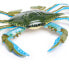 Фото #3 товара SAFARI LTD Blue Crab Figure