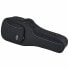 Фото #1 товара Reunion Blues CV Double El.-Guitar Case