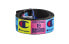 Champion C 4cm Belt CH3020-495