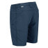 Фото #4 товара REGATTA Leesville II Shorts