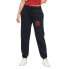 Фото #1 товара SUPERDRY Athletic College Loose joggers