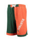 Фото #3 товара Big Boys Green and Orange Miami Hurricanes Conch Bay Swim Shorts