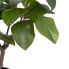Фото #4 товара Декоративное растение 67 x 62 x 100 cm Зеленый Резиновый PVC