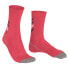 FALKE BC Impulse Velocity socks