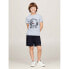 TOMMY HILFIGER Greetings From short sleeve T-shirt
