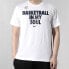 Nike Basketball T-Shirt BQ3646-100