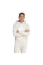 Фото #2 товара IR9187-E adidas M Fı Bos Hd Erkek Sweatshirt Krem