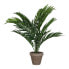 Фото #1 товара Декоративное растение Mica Decorations 45 x 60 cm Керамика PVC Пальмовое