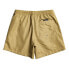 Фото #4 товара QUIKSILVER Everyday Deluxe Volley 15 Swimming Shorts
