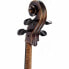 Фото #5 товара Gewa Germania 11 Paris Antik Cello