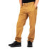 Фото #5 товара THE NORTH FACE Motion Pants