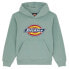 Фото #2 товара DICKIES Logo hoodie