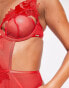 Bluebella sabina wired body in red