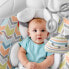 FISHER PRICE Sweet Snugapuppy Deluxe Bouncer